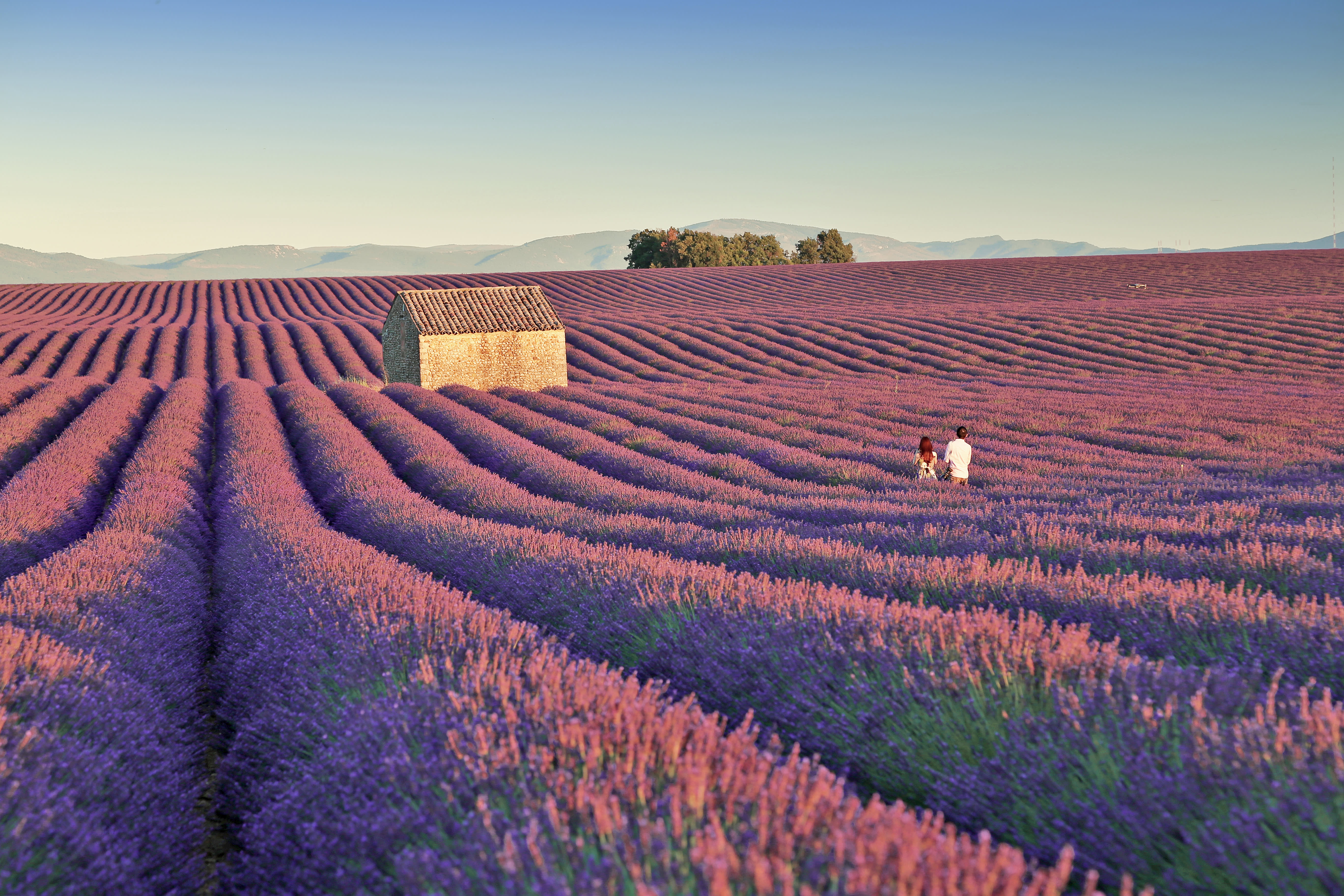 Exploring the Many Sides of France