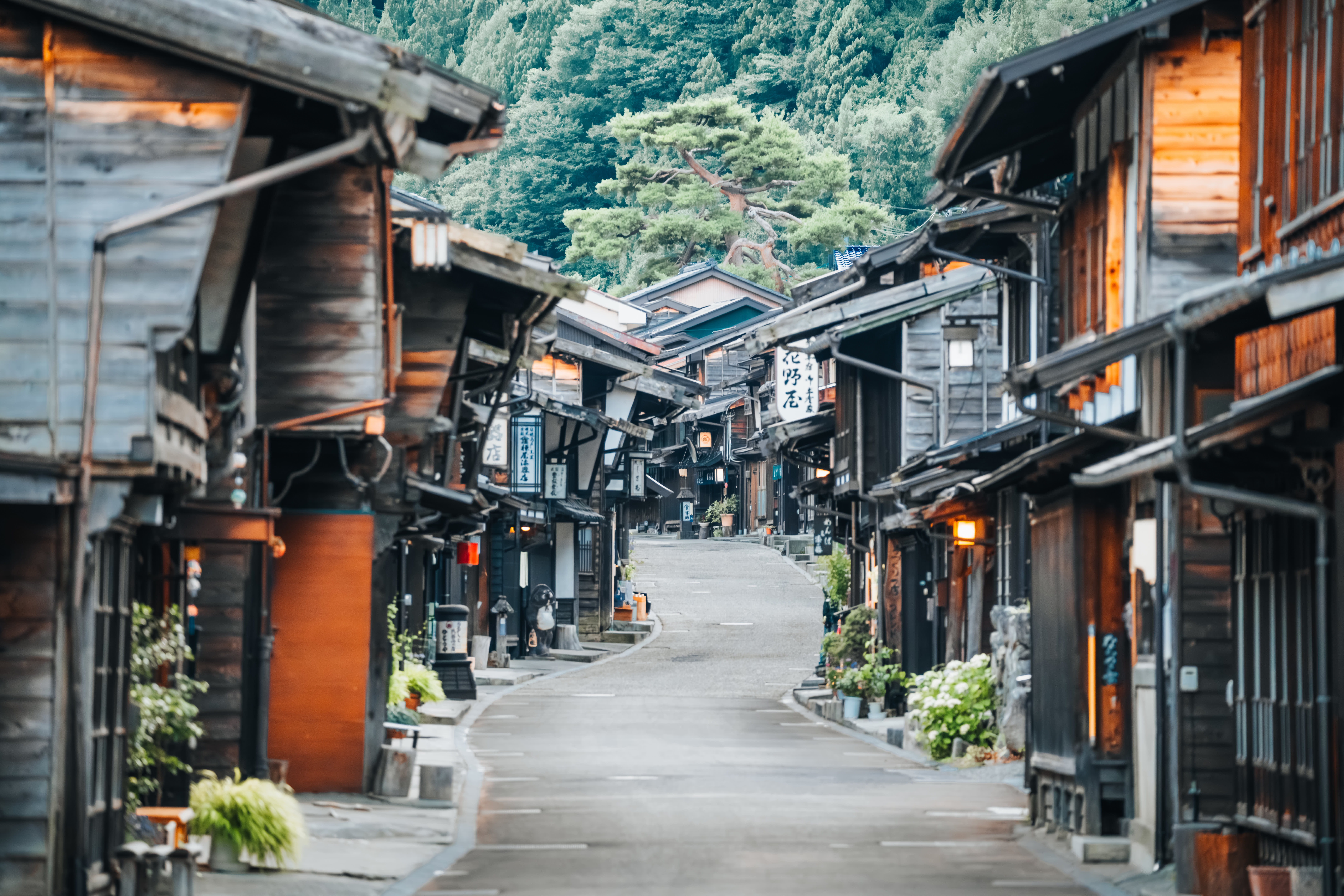 Japan Travel Guide: Dos and Don’ts From Enchanting Travels’ Experts