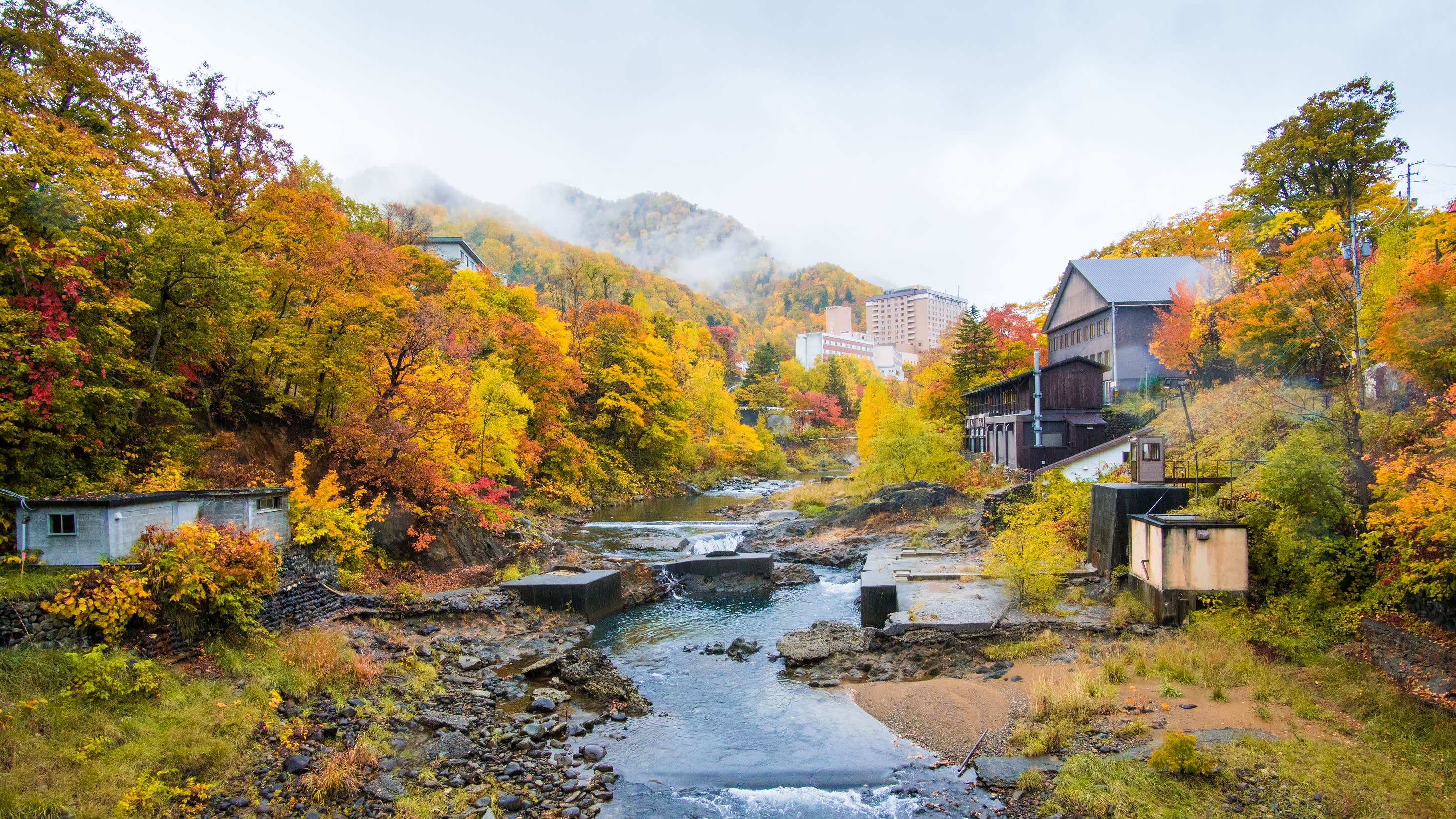 Where to Go When in 2026