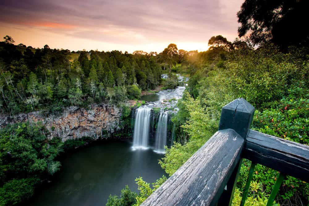 Dangar Falls in Dorrigo National Park