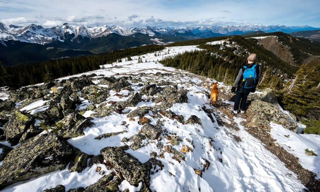 Heading down from the Jumpingpound Ridge summit