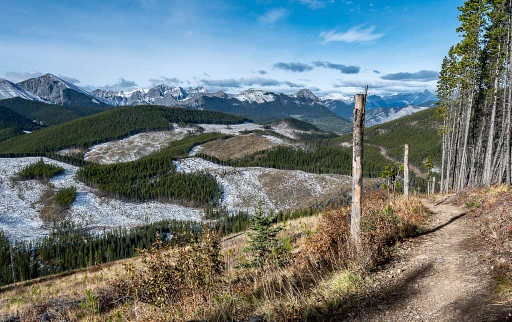 Nice views to the west once you get out of the trees on the Jumpingpound Summit trail