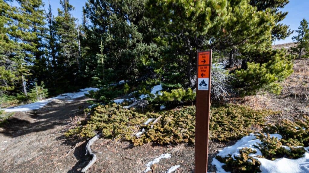 The junction of the Jumpingpound Summit trail with the Cox Hill Trail