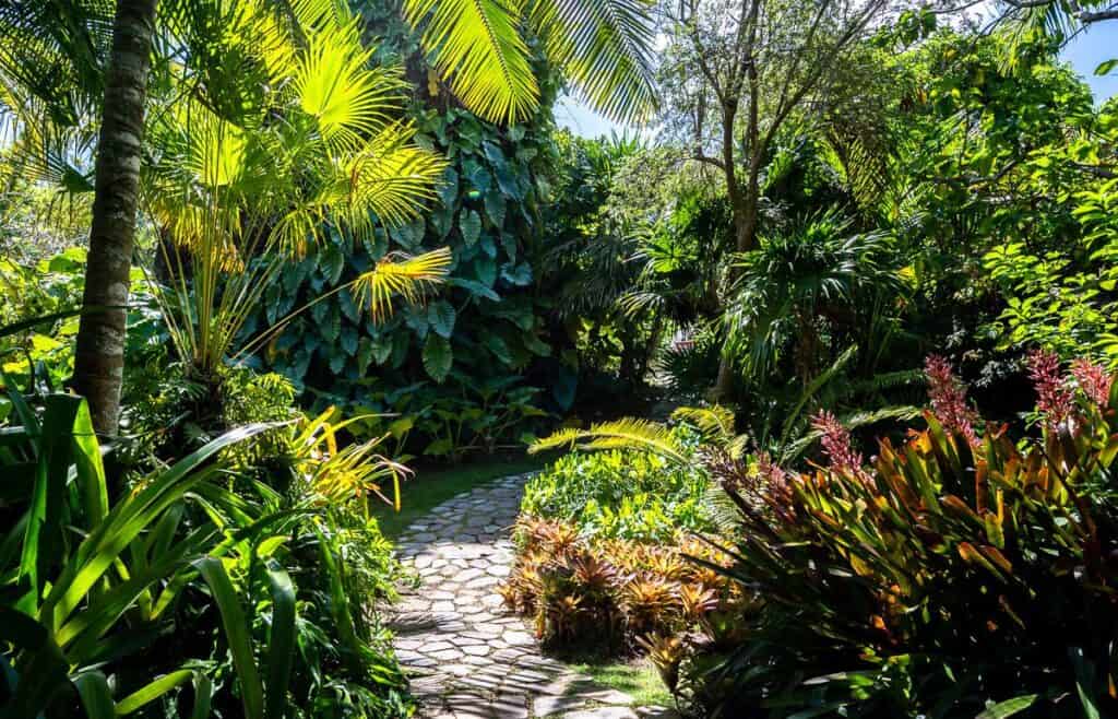 Gardens at the Golden Rock Hotel on Nevis