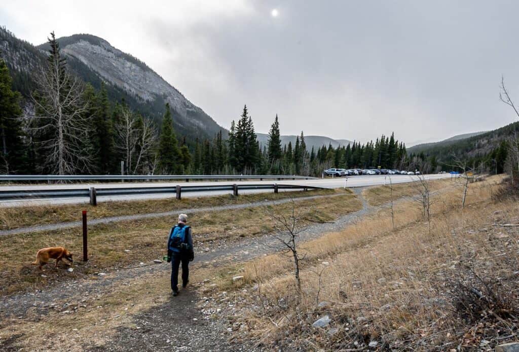 Descending Prairie Creek trail to reach Highway 66 and the parking lot
