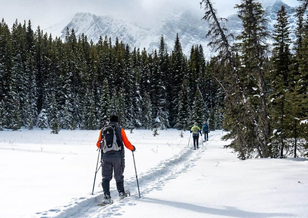 The Frozen Toad snowshoe trail is mostly easy to follow