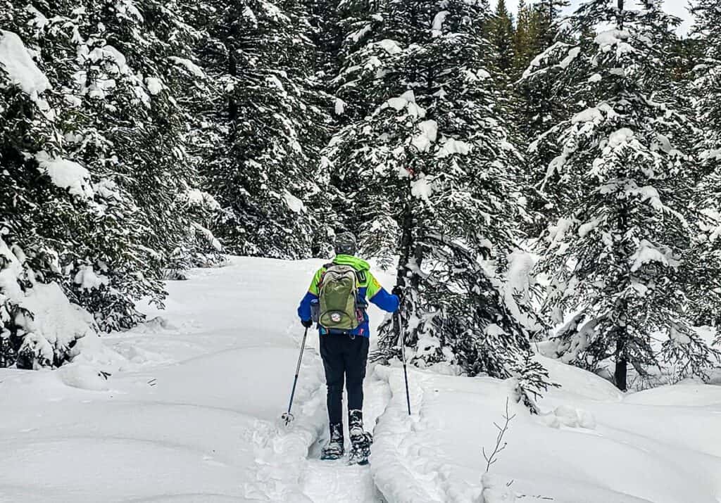 Looking for animal tracks as we snowshoe the Frozen Toad Trail