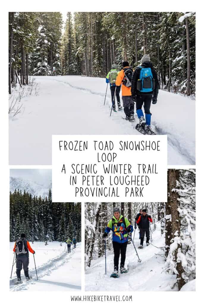 Frozen Toad Snowshoe Loop - A scenic winter trail in Peter Lougheed Provincial Park