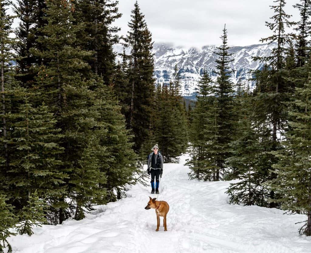 Man and dog hiking the Gypsum Mine Road in Kananaskis