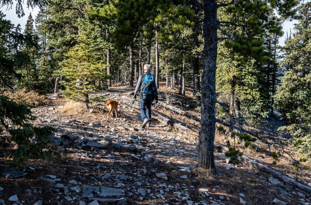 A nice start to the hike down from White Buddha and Vents Ridge