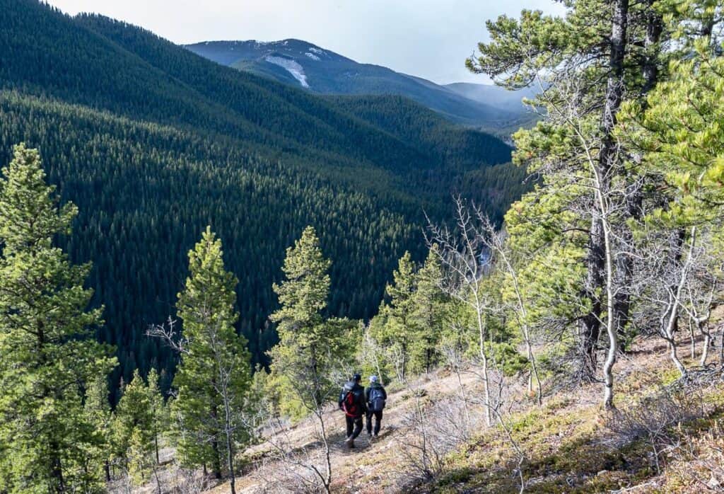 View looking down towards the Powderface Creek trail