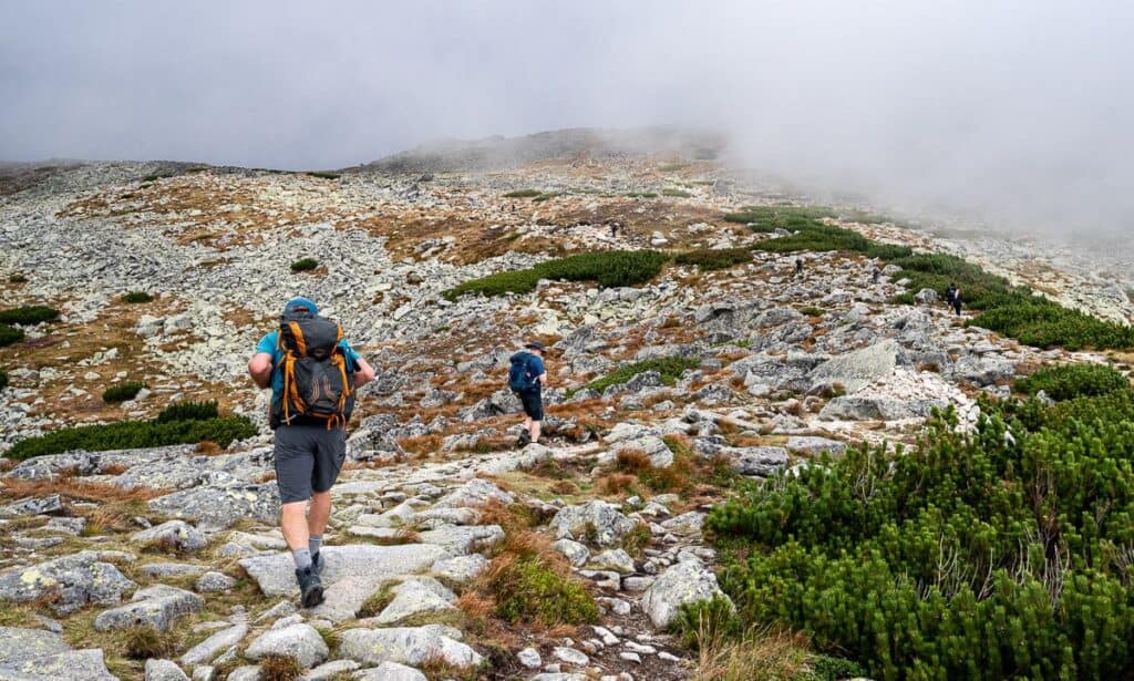 Long switchbacks take you to the top of the ridge