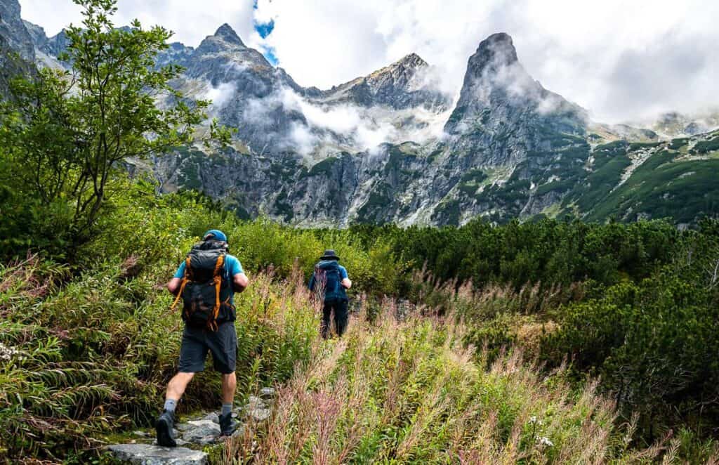 Finally some easier hiking through wildflowers