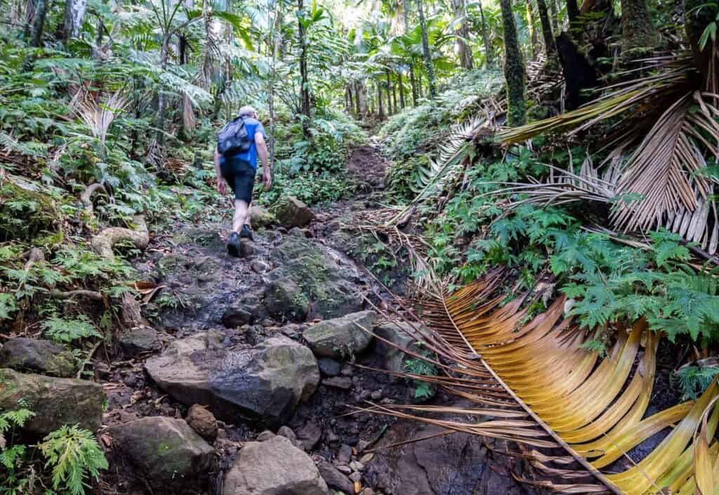 A man hiking steeply up rocks towards the volcano crater on St. Kitt's