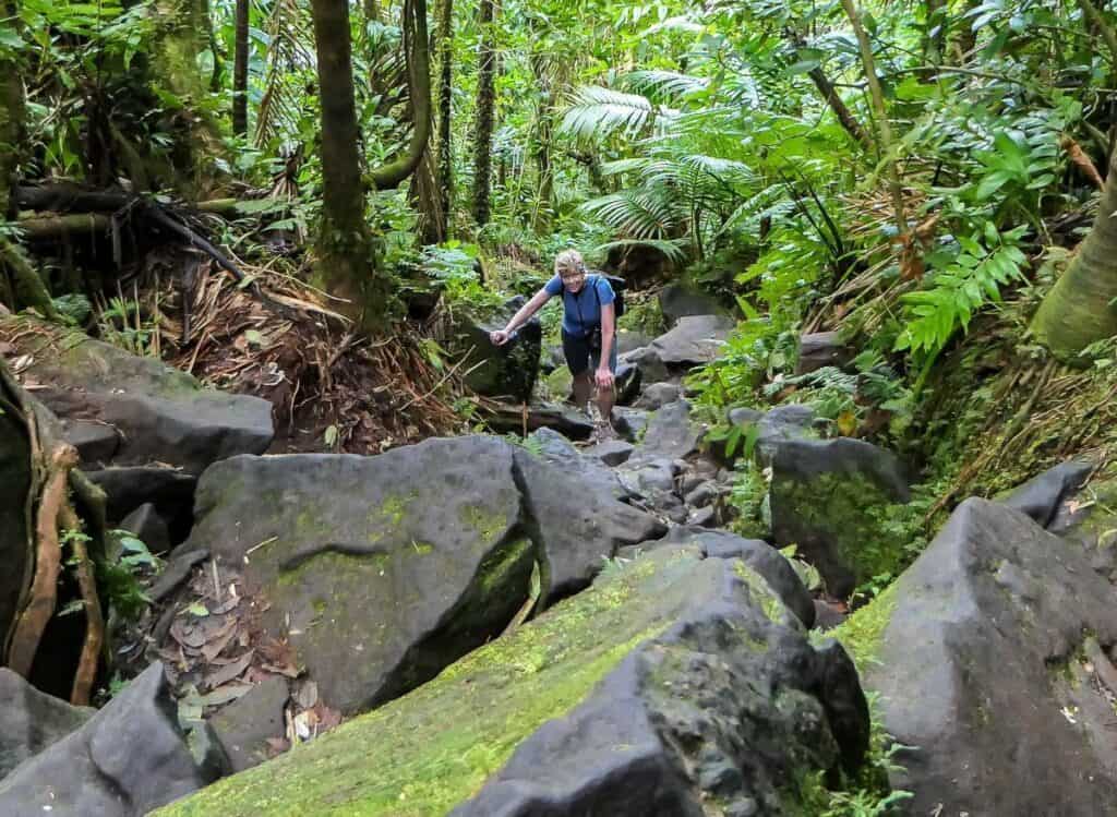 Steep boulder section near the top of the Mount Liamuiga volcano hike