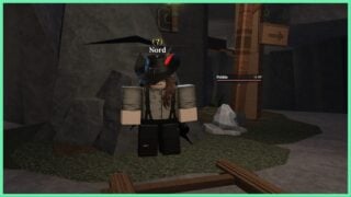 image shows the Nord NPC