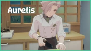 Aurelis from Starsand Island.