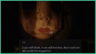 Dialogue from the giant dollhead in Dollhouse Bloodshed.