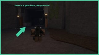 The entrance to the Fallen Angel's Cave where a gate should be in The Forge.