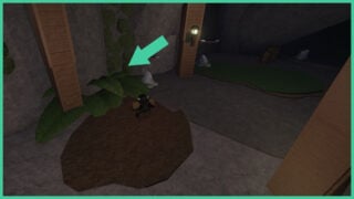 Moss on the ground and walls in Stonewake's Cross cave in The Forge with an arrow pointing at the moss to indicate the entrance to the secret cave.