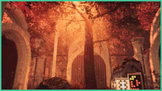A tall tree, with the leaves casting shadows on the wall amidst the orange light in Into Solace.