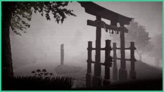 The misty forest in Hachi: Eight Feet Tall, with trees and a torii gate.