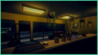 Behind the counter in The Plant Shop, as the front door is open to the car park outside and various plants decorate the shop. There are plants attached to the ceiling and on the counter. 