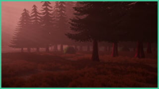 A forest of tall pine trees shrouded in red light and shadows as a figure stands behind a tree in the distance in The Radio Tower.