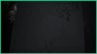 A house hiding in the shadows, surrounded by tall trees and mist in The House in the Woods.