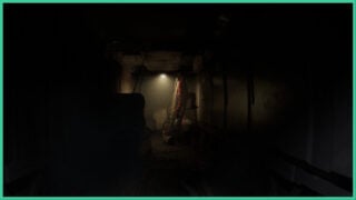 The inside of Echo-7, the ship you must visit in Dire Echo. The hallway is dark with just a small light ahead. Wires fall from the ceiling as someone stands on a ladder.