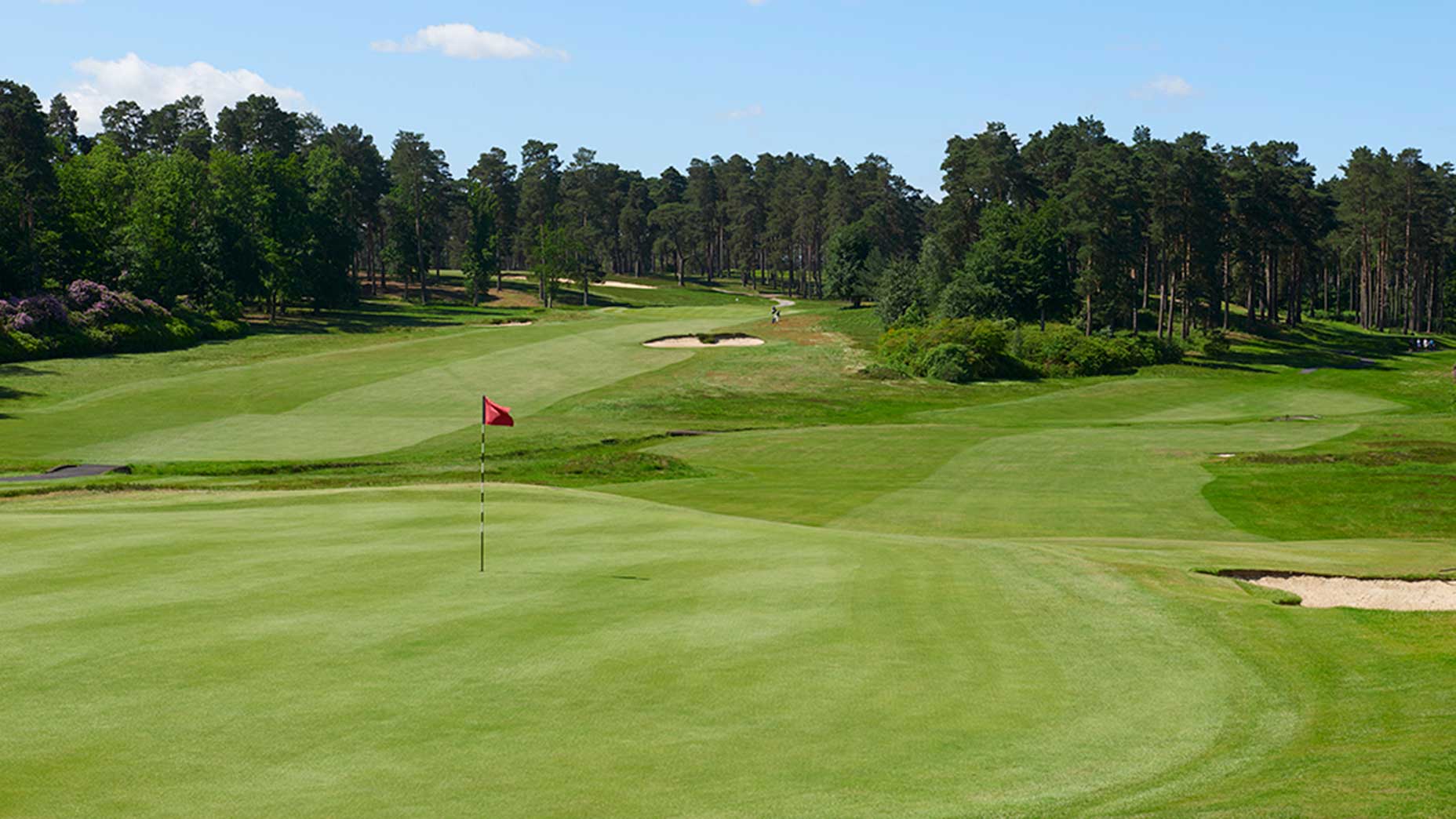 A view of Swinley Forest Golf Club.