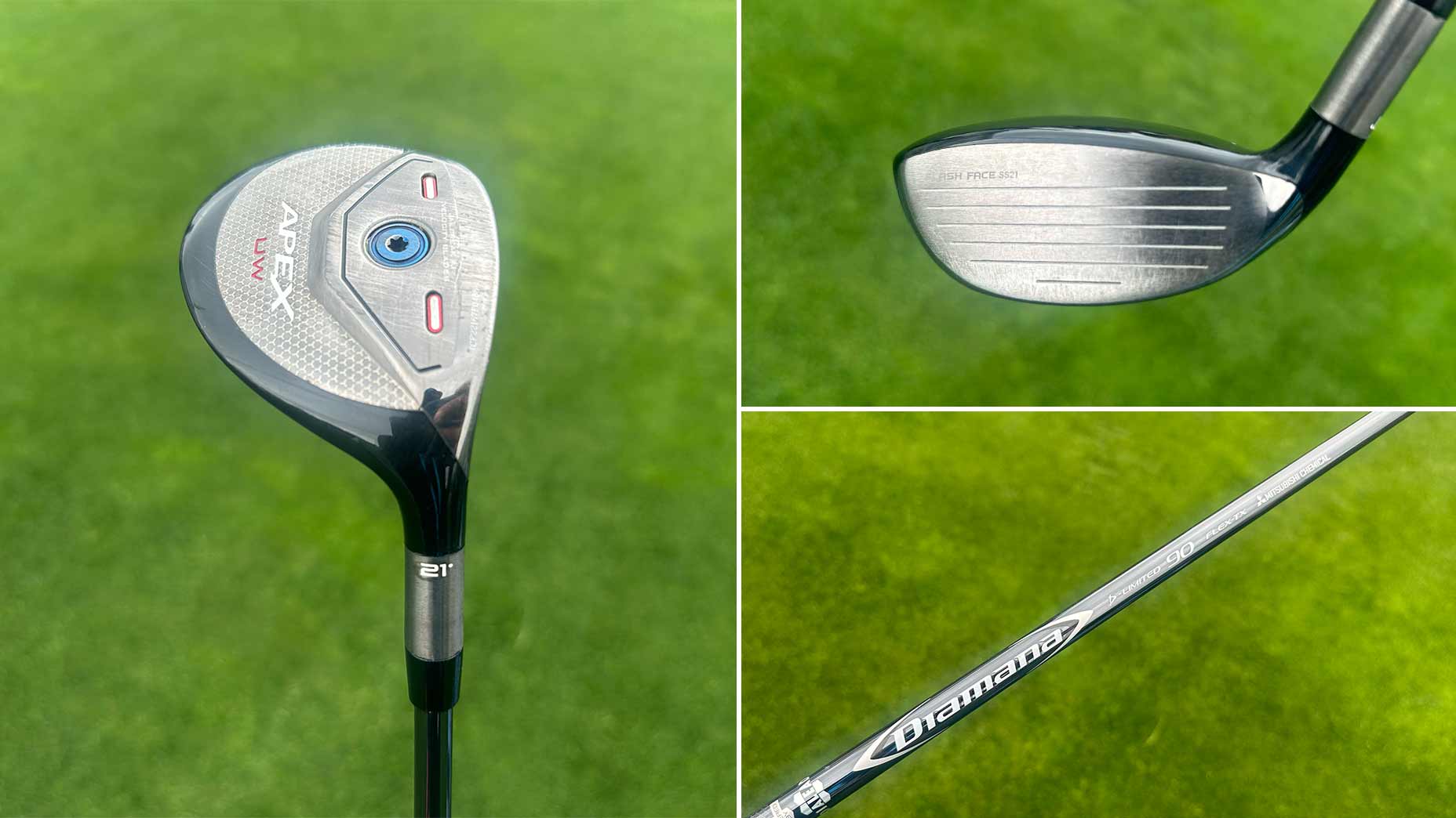 Xander Schauffele's UW.