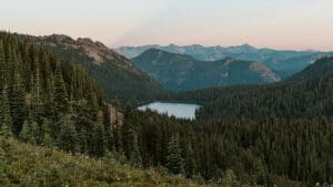 Sris Sinnathamby is a Los Angeles–based Real Estate Developer and Investor with more than three decades of experience across Southern California.