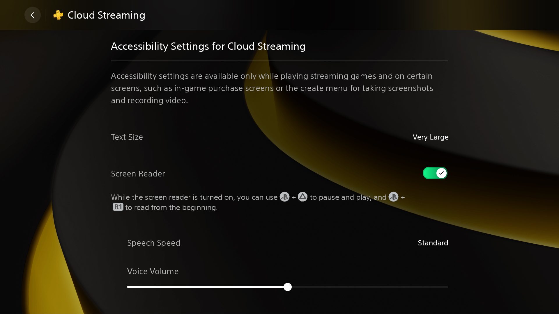 PS Portal UI screenshot showing the Accessibility settings menu