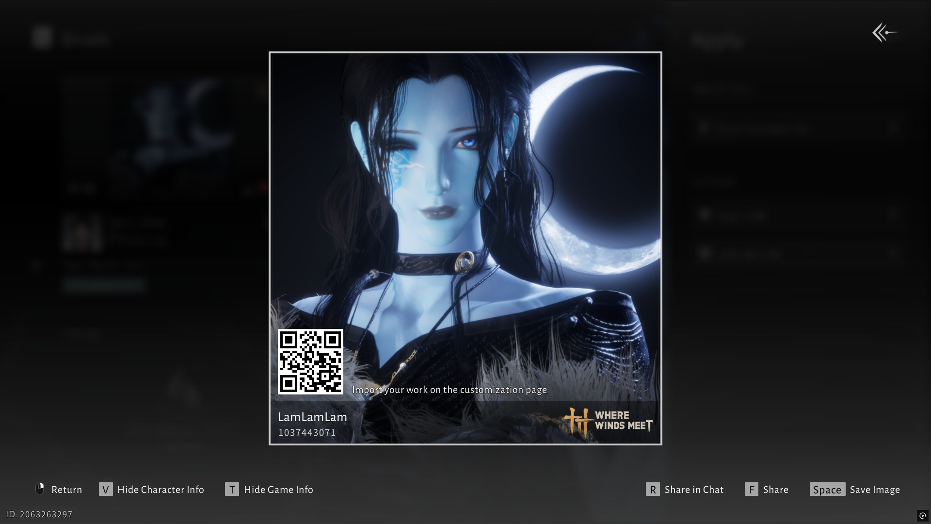 Where Winds Meet character customization codes