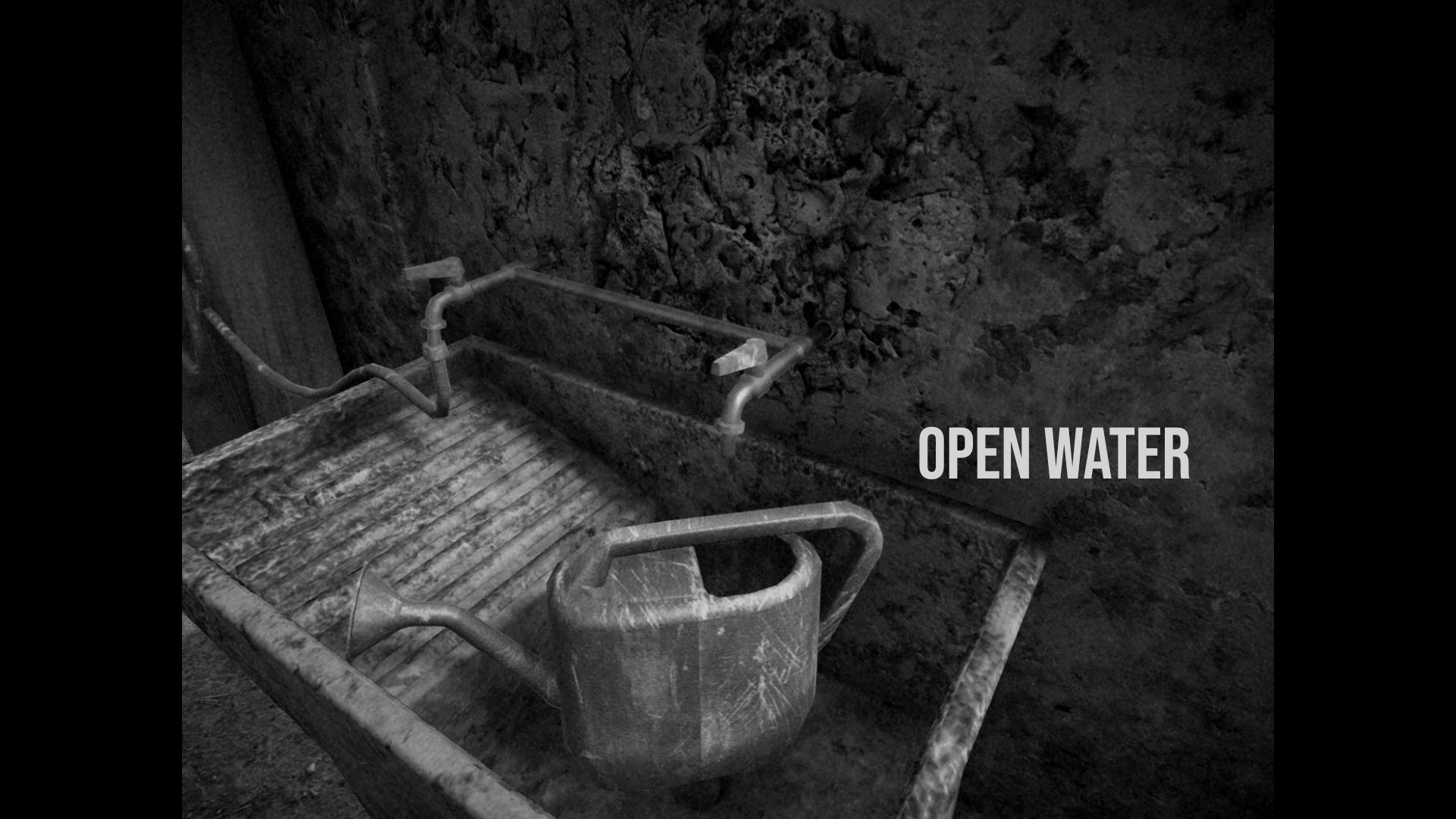 The player fills a watering can in Horses.