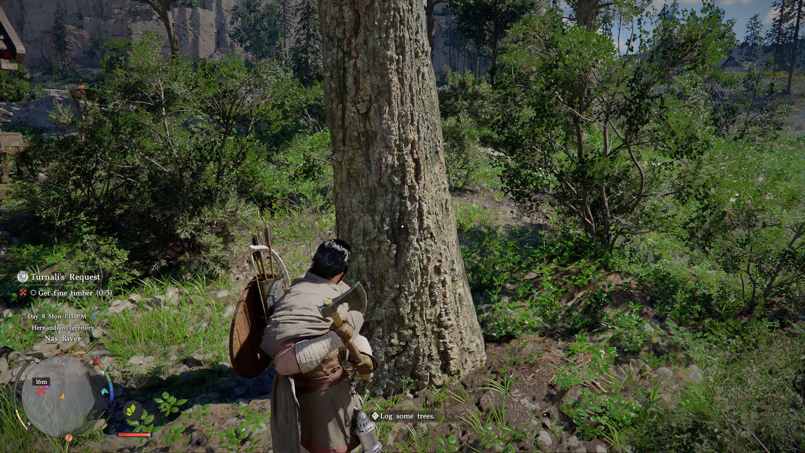 Crimson Desert Turnali's Request - Tree