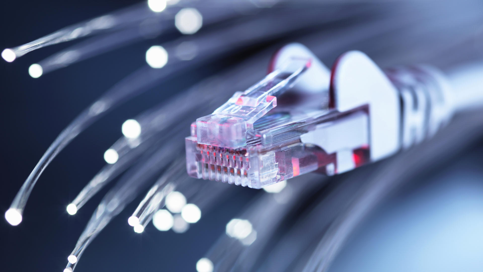 A stock photo showing a close up of an Ethernet cable and connector, with fiber optic cables in the background