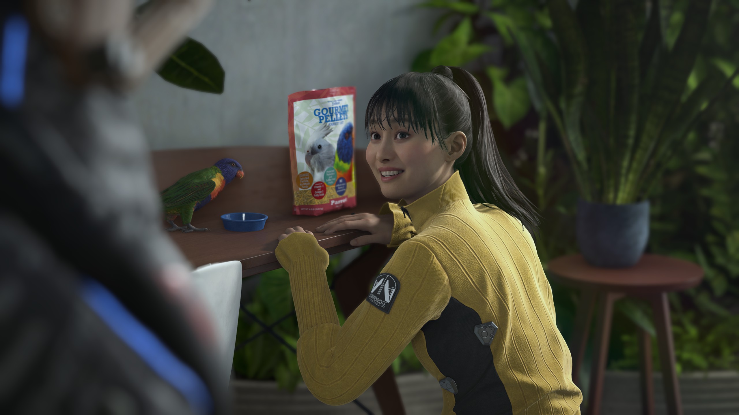 Death Stranding 2 PC