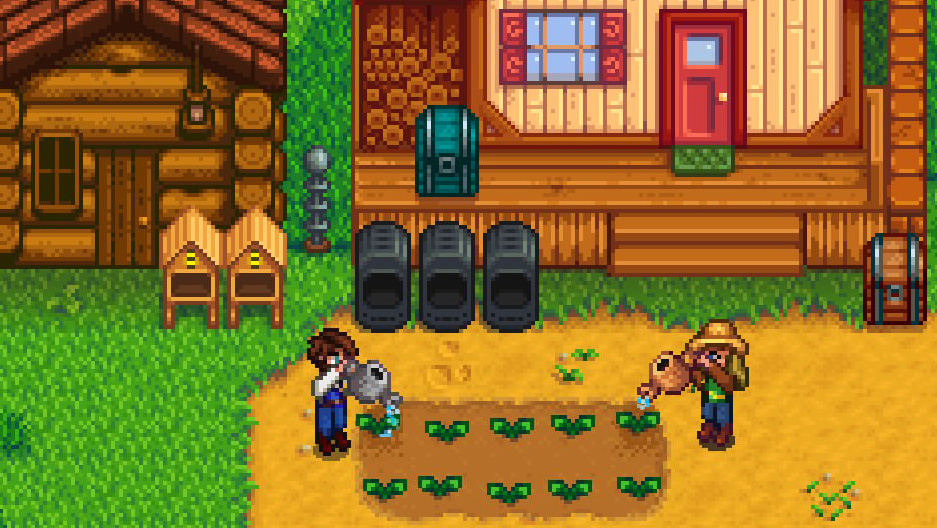Two players watering turnips in Stardew Valley