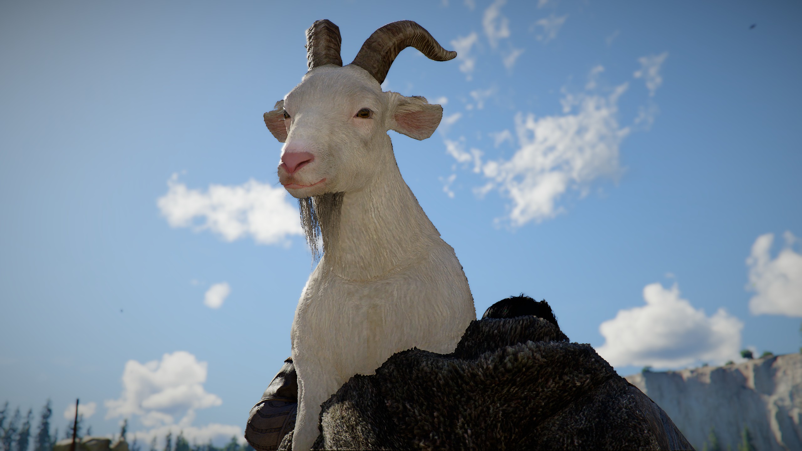 A goat being carried over Kliff's shoulder.