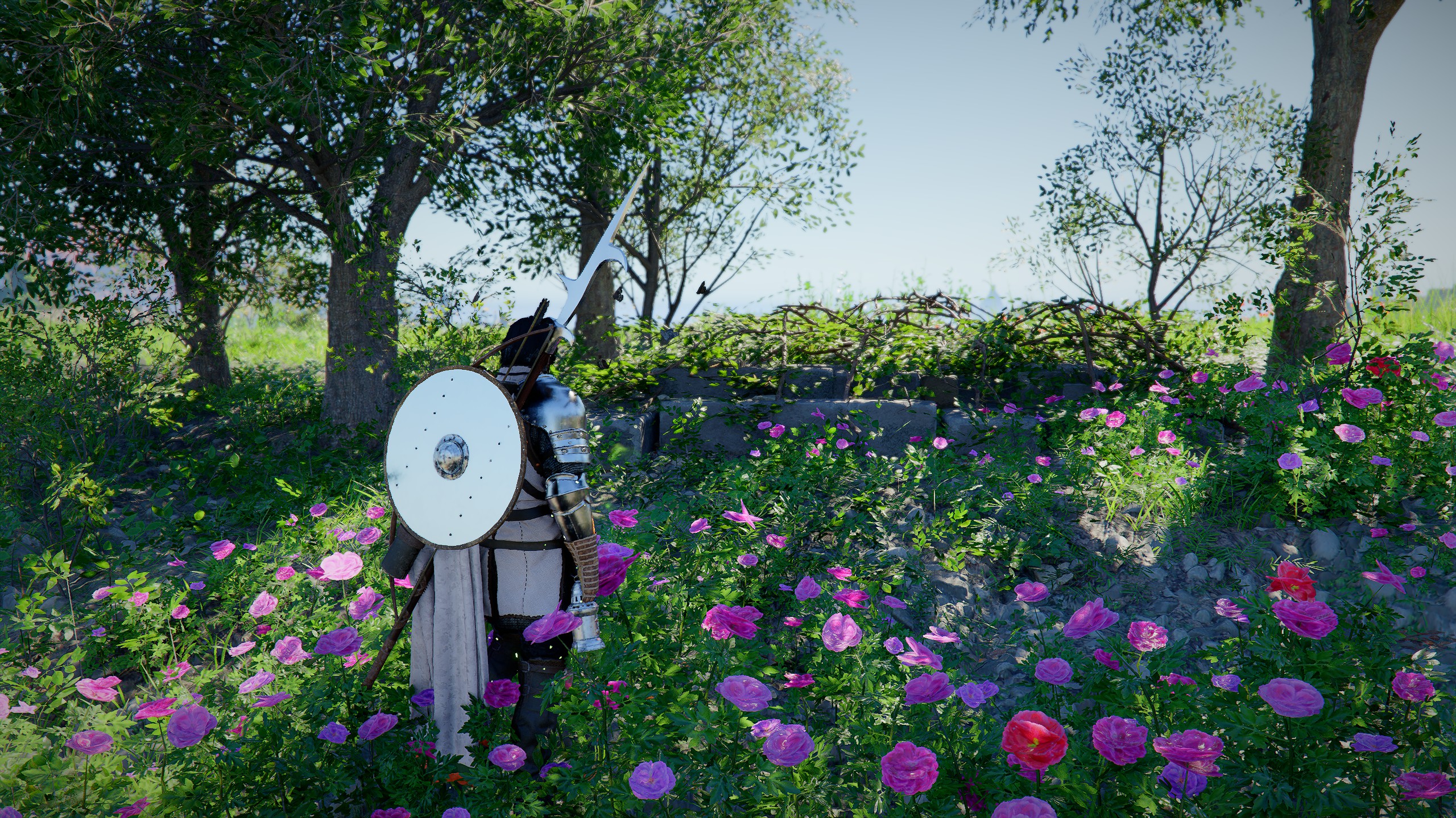 Crimson Desert Thinker's Meadow Abyss Nexus